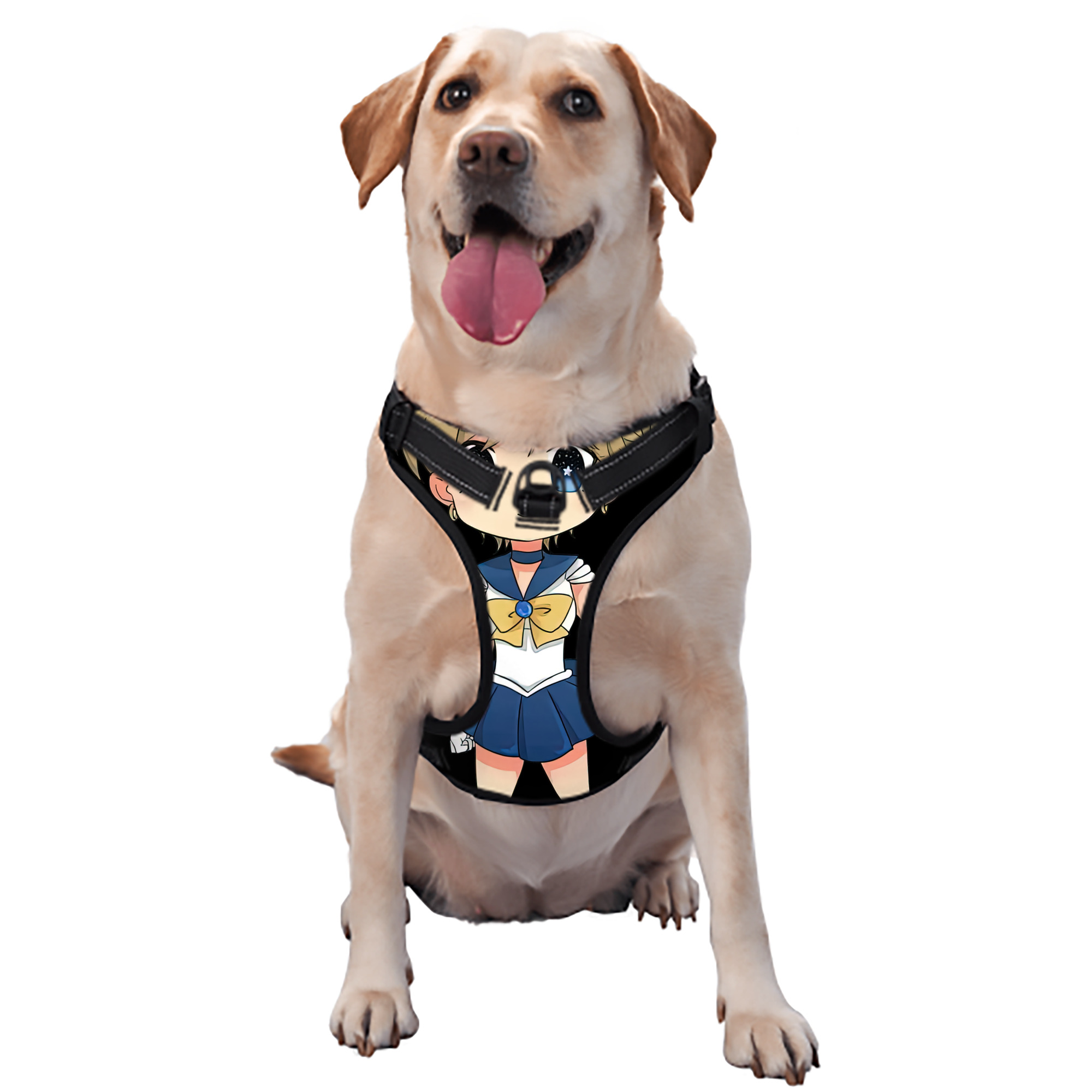 （画像用） 美少女戦士セーラームーン 天王はるか Sailor Moon Tenoh Haruka ペット用ハーネス